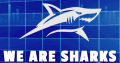Market Sharks – Premium Forex Training